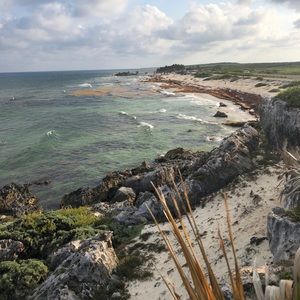 Meet your Posher, Will